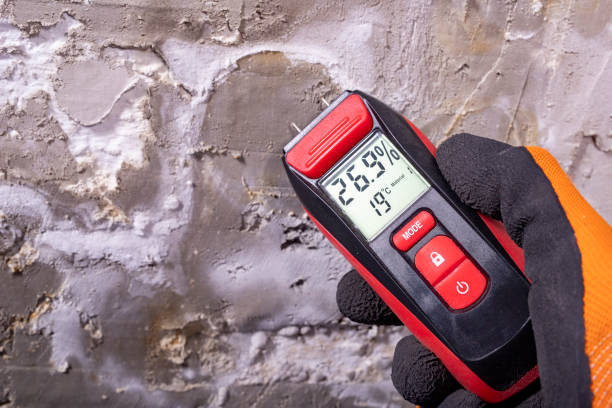 Mold Removal Process in Grant Valkaria, FL